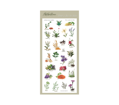 Abtibilduri tematica biblica - Plante si fructe din Biblie