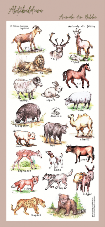 Abtibilduri tematica biblica - animale din Biblie