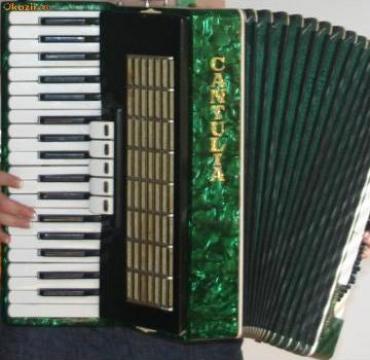 Acordeon Cantulia