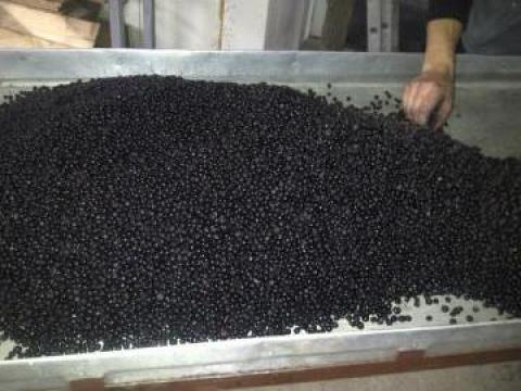 Afine Mirtillo Nero Blueberry