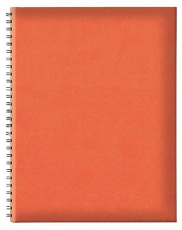 Agenda nedatata cu spira - Tucson Ghost