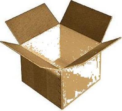 Ambalaje din carton