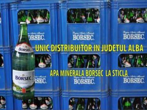 Apa minerala Borsec