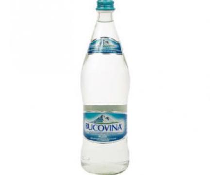 Apa minerala Bucovina sticla 0.33l SGR