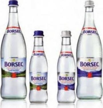 Apa minerala si plata Borsec 0,75 litri sticla