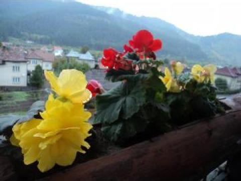 Apartament 3 camere decomandate Suceava