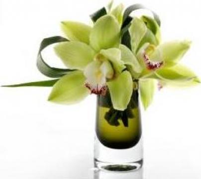 Aranjament orhidee la birou