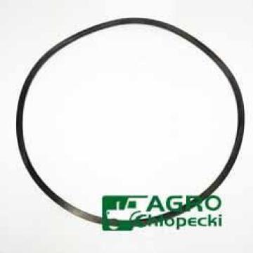 Arc disc frictiune F824100100450