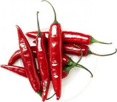 Ardei Paprika Oleo Resin