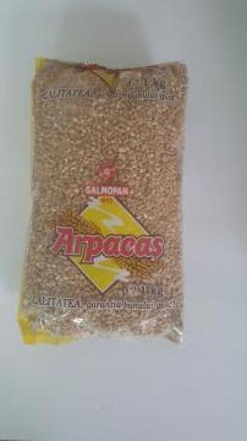Arpacas