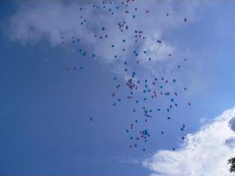 Baloane cu heliu Oradea