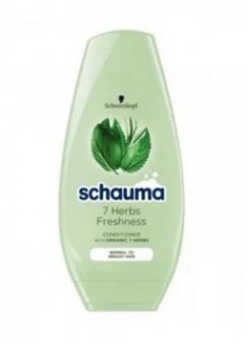 Balsam de par Schauma 7 Herbs Freshness, 250ml