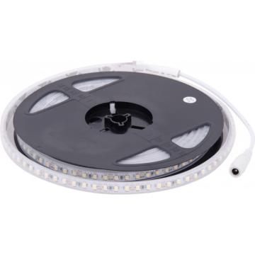 Banda Led IP20 alb EL0021075 5 m