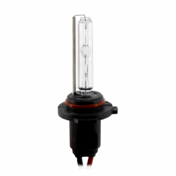 Bec xenon H10 4300K