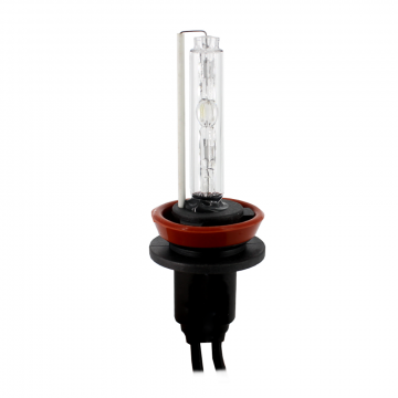 Bec xenon H8 6000K