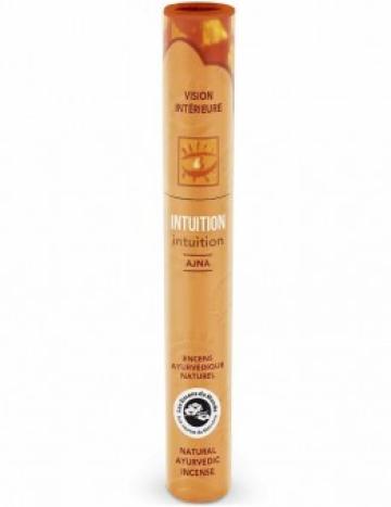 Betisoare parfumate ayurvedice Intuition 16 buc Aromandise
