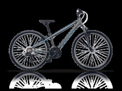 Bicicleta Cross Speedster