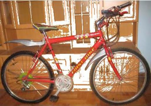 Bicicleta Mountain Bike