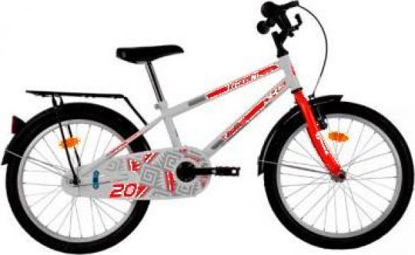 Bicicleta copii 20" - DHS-2003