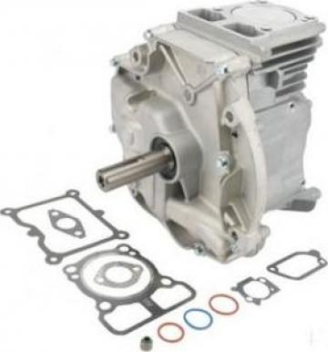 Bloc motor asamblat B&S 795156