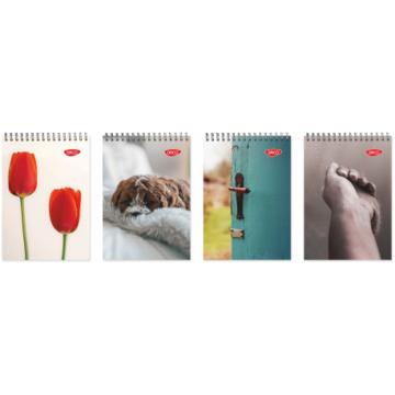 Bloc notes a5 spira 80 file Daco bn580ar
