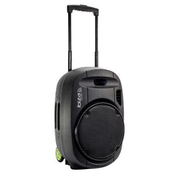 Boxa portabila 12 inch/30 cm 350W RMS 12/230V USB/MP3