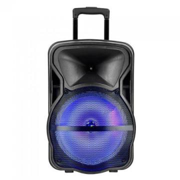 Boxa portabila iluminata LED 15 inch/38CM 50W RMS