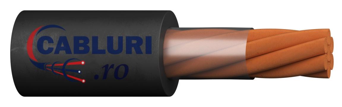 Cabluri de sudura H01N2-D 100/100V 20354765