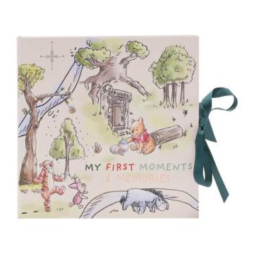Cadou Caietul bebelusului Disney Magical Beginnings Winnie