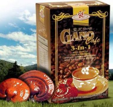 Cafea Gano cafe 3 in 1 Ganoderma Lucidum