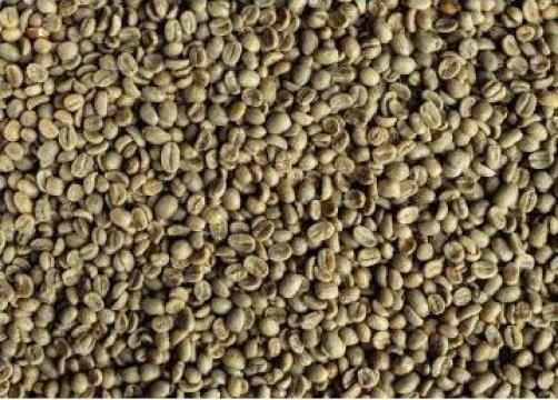 Cafea verde Guatemala Huehuetenango 19/20, Arabica 100%