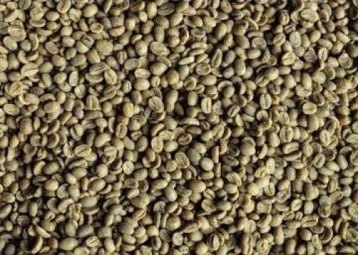 Cafea verde Nicaragua Jinotega 19/20, Arabica 100%