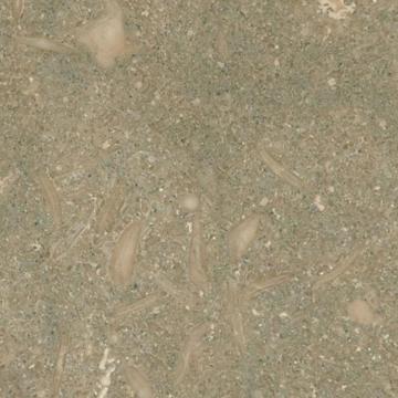 Calcar Limestone Oliva Periata 60 x 60 x 1.2 cm