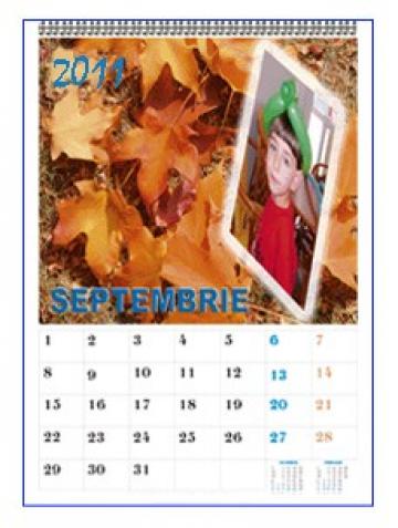 Calendar personalizat de perete CALP024