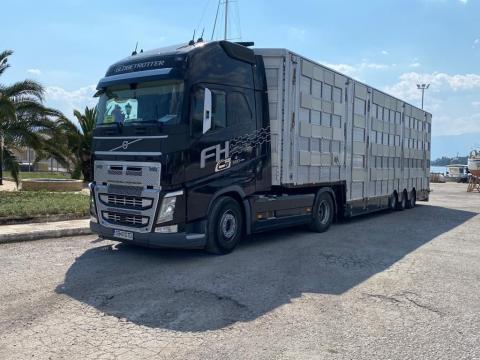 Camion Volvo FH-500 semiremorca Pezzaioli transport animale