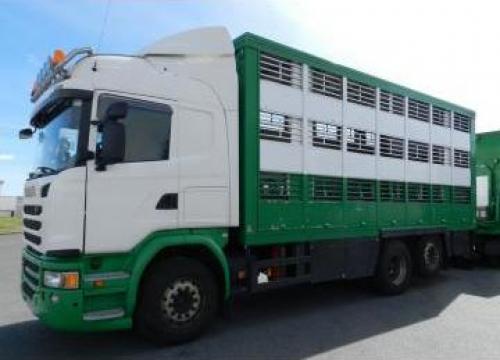 Camion transport animale Scania G490 06/2014 6x2