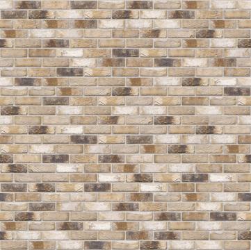 Caramida SM65 (215x102x65) - Ligure