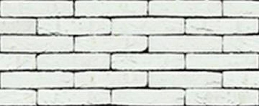 Caramida aparenta Blanco