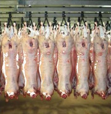 Carne de berbecut