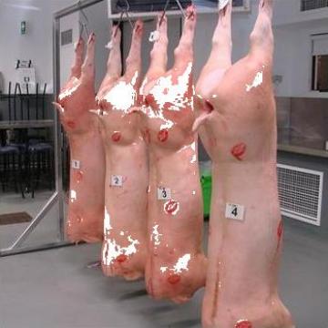 Carne de porc congelata