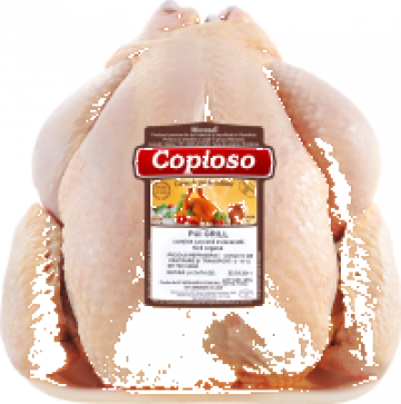 Carne de pui Copioso