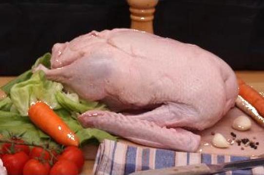 Carne rata grill