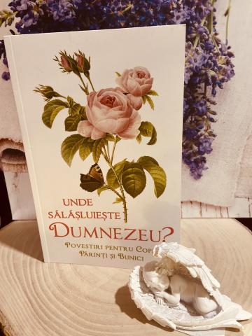 Carte, Unde salasluieste Dumnezeu? Povestiri pentru copii