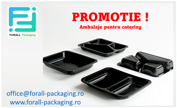 Caserola catering cu 2 compartimente neagra