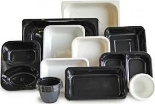 Caserole plastic cu 2 si 3 compartimente