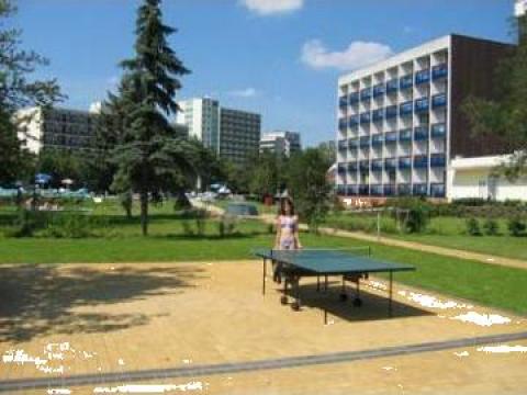 Cazare Hotel 3*** Hajduszoboszlo