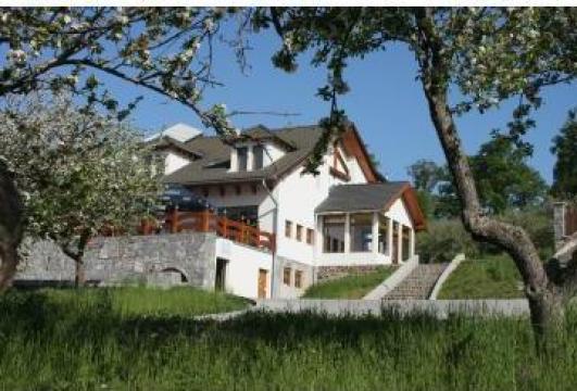 Cazare la Villa Vitae-Wellness&Spa