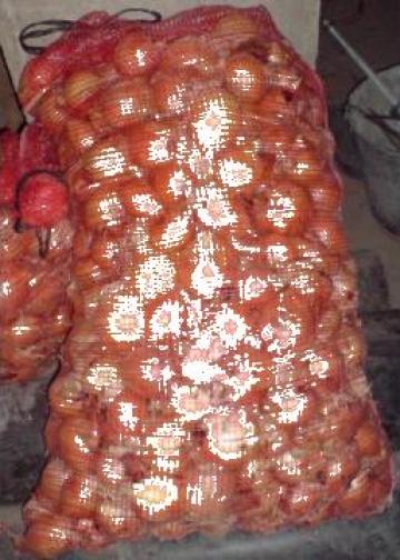 Ceapa, arpagic