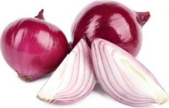 Ceapa rosie