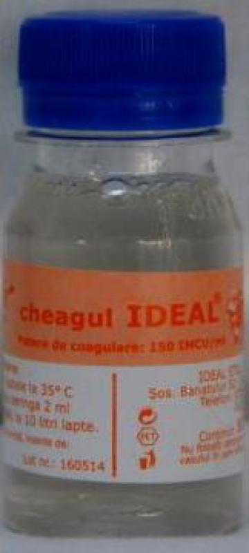 Cheag Ideal